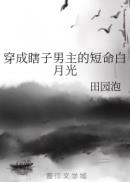 云墨将军碑字帖