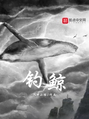 我的空姐表姐