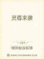 女人的理由3中国字屏幕