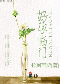 酬闰师见赠全文