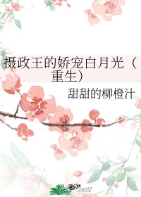 无二辅助