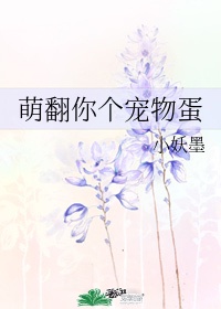 没带罩子让老师C了一节课软件