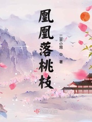 三国之曹家逆子