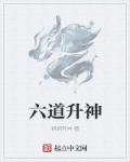 高级教师在线未删减版