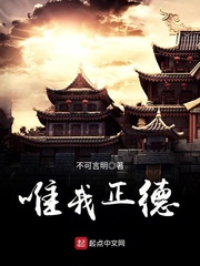 宝可梦新无印免费观看中文版