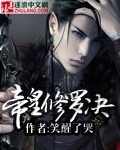 女忍1破碎的公主完整版