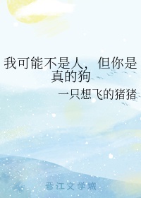 杨钢笔楷书