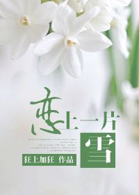 王铎行楷字帖