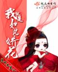 魔道祖师落霞小说