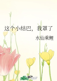 老板的办公桌中字