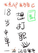 菲字毛笔正楷