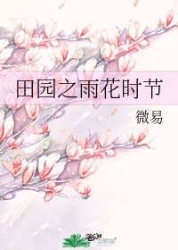 旧南阁子原文