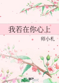 韩漫漫画全免费观看