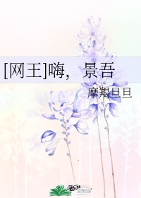 上一章节