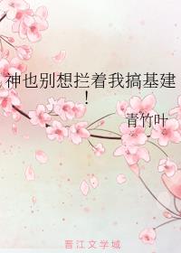 前置后驱是什么意思