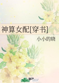 da师电视剧免费版完整版