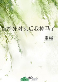 湿苔全文免费