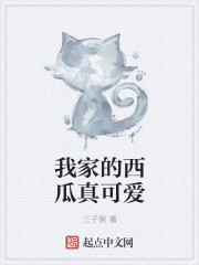 白洁与公公