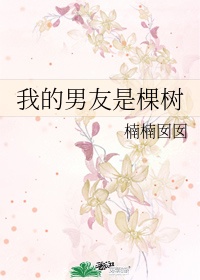 教师h