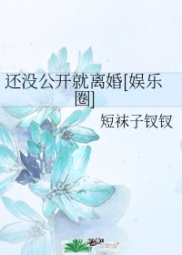 艾薇拍摄指南txt