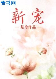 程师孟传全文翻译