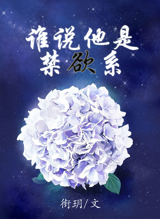 重装机兵5花火中文版