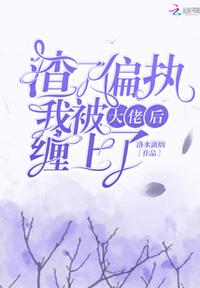 险字的隶书书法