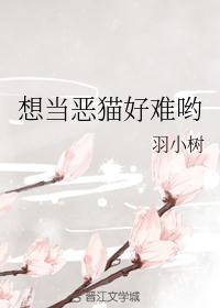 女医明妃传小说