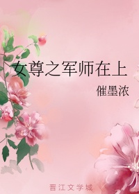 李忆安穿越小说叫什么名字