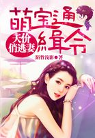 李夫人传全文翻译