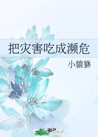 张行长与妻子完整版