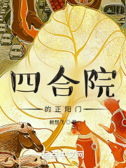 深圳合租记全集免费完整版