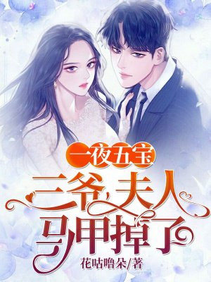 精英律师在线观看免费完整版