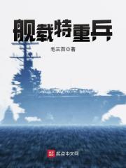 火柴人战争遗产无敌版