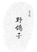 赵体字描红字帖