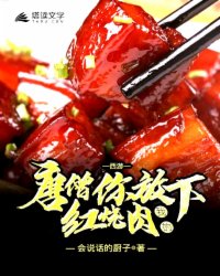 夜店之王视频秀插件