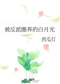 群飞杨幂刘亦菲刘诗诗