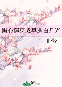 纯白少女骑士团