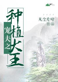 交际花什么意思