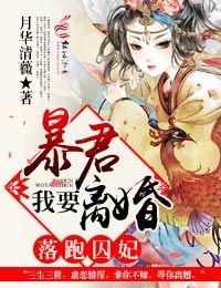 程师孟传全文翻译