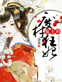 乡村爱情h版1一11