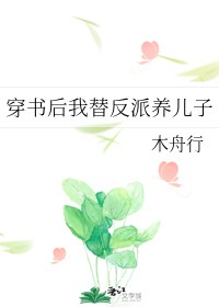 江月的诗词