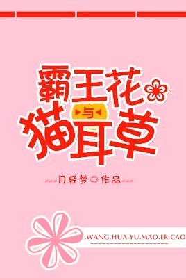 《不婚》作者:茶茶好萌