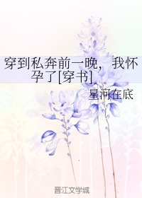 清代书是什么字体