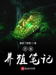 三国之名门公子