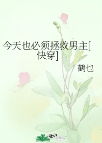 楷 毛笔字