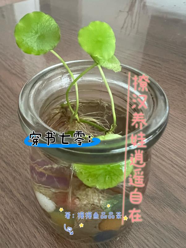 周慧草书写法