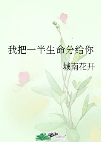 命令与征服将军