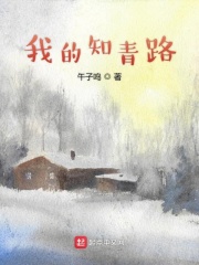 电视剧雪中悍刀行免费看