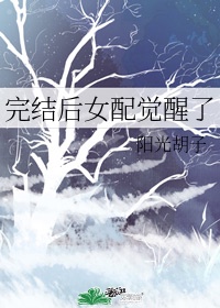 月光高清免费观看完整版